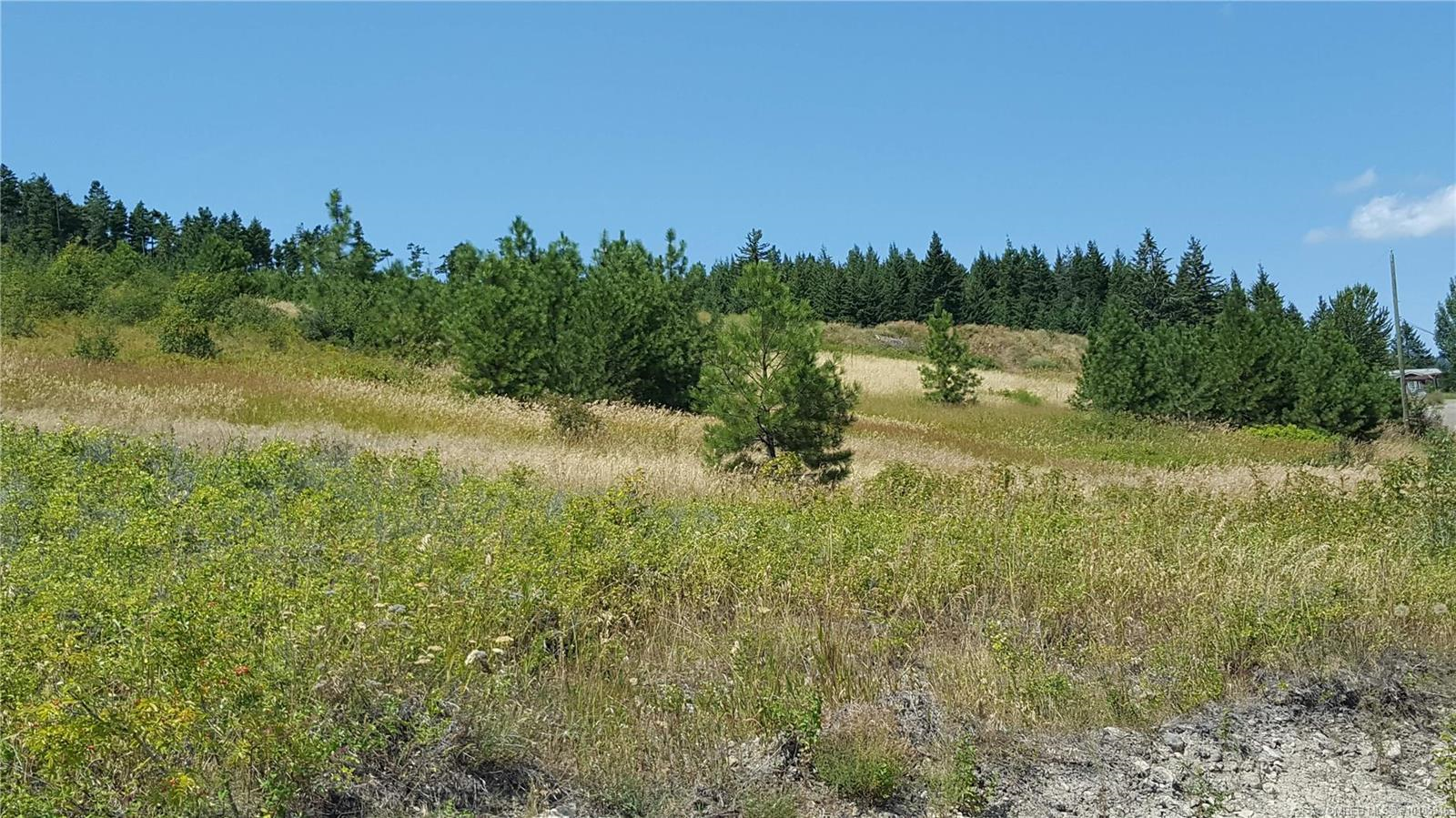 Listing 10185946 - Large Photo # 9