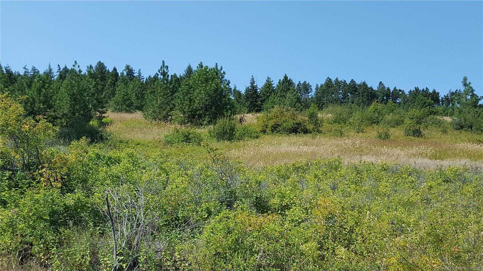 Listing 10185946 - Large Photo # 8