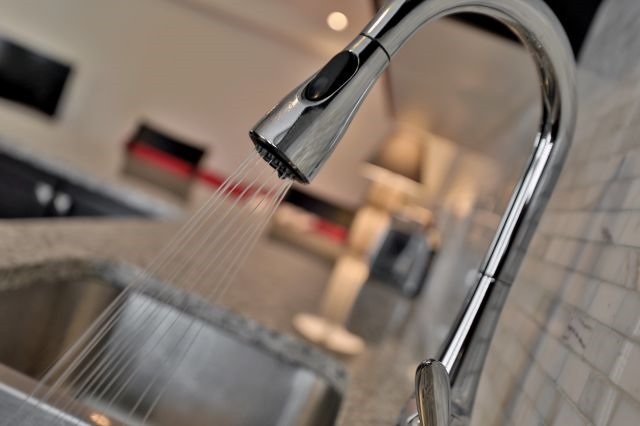 335 Ellen Davidson Dr