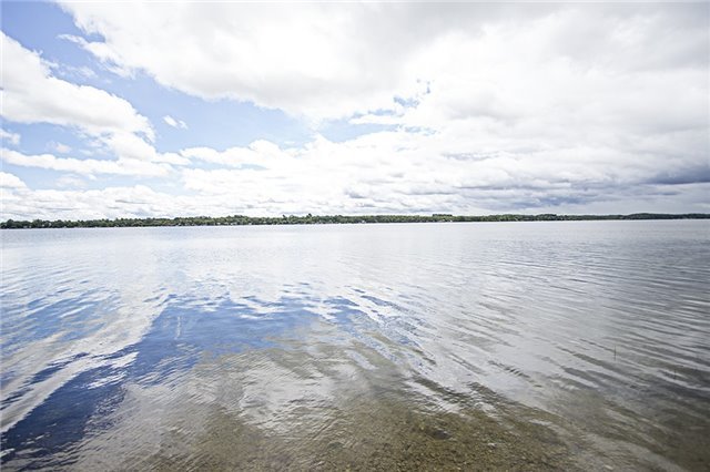 Listing X3953128 - Large Photo # 18
