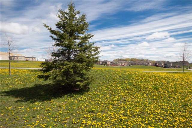 81 Village Vista Way