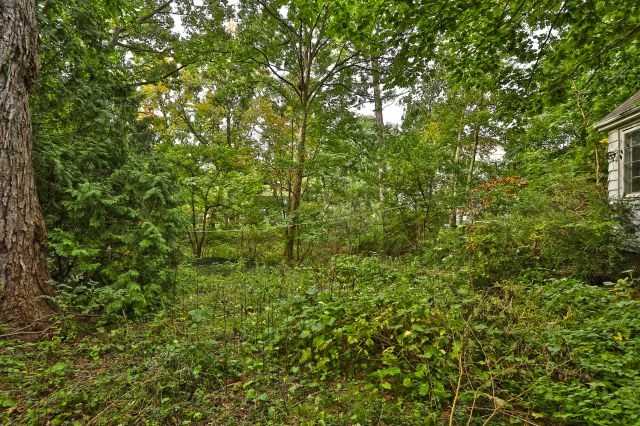Listing W4261900 - Large Photo # 10