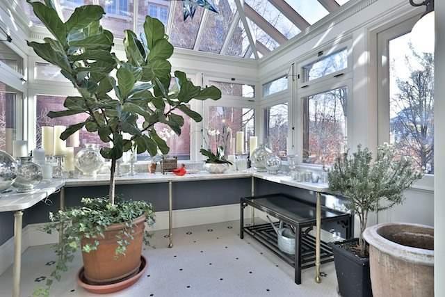 20 Elm Ave
