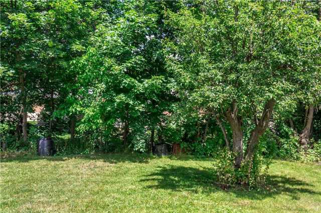Listing W3851133 - Large Photo # 12