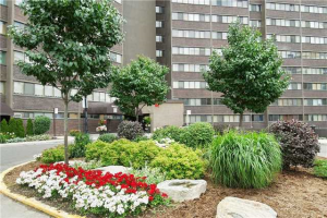 Toronto