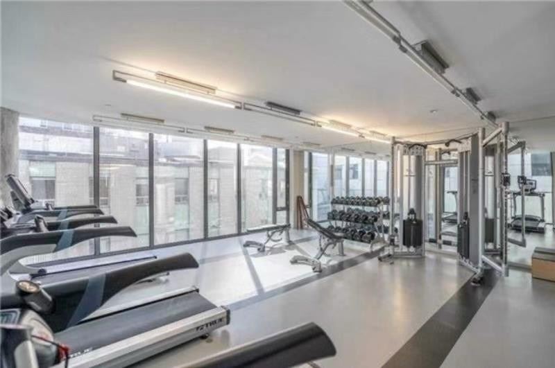 101 Peter St, #2511