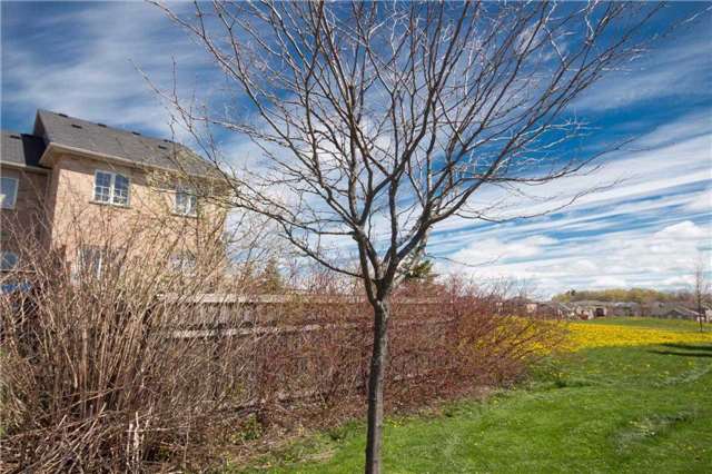 81 Village Vista Way