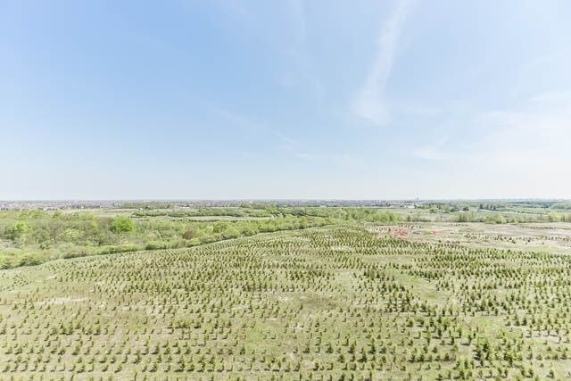 Listing W4157044 - Large Photo # 14