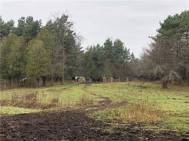 Listing E3986315 - Large Photo # 20