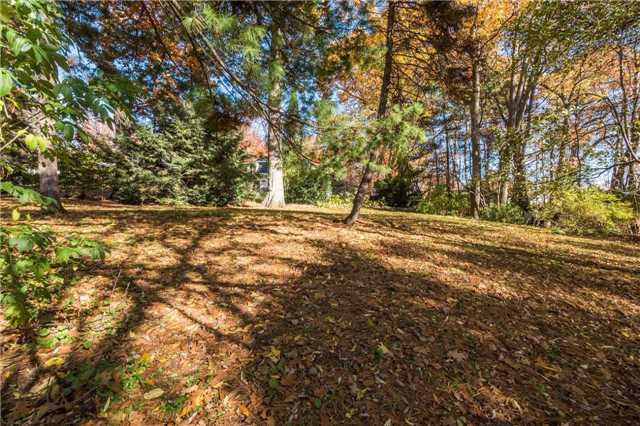 1266 Minaki Rd