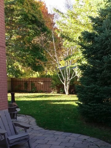 Listing W3723389 - Large Photo # 20