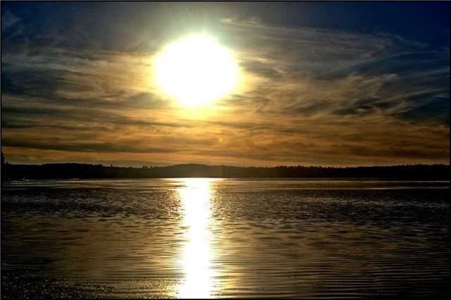 Listing X3875210 - Large Photo # 20
