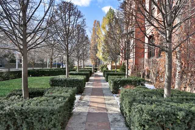 20 Elm Ave