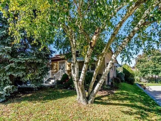 Listing W4342580 - Large Photo # 2