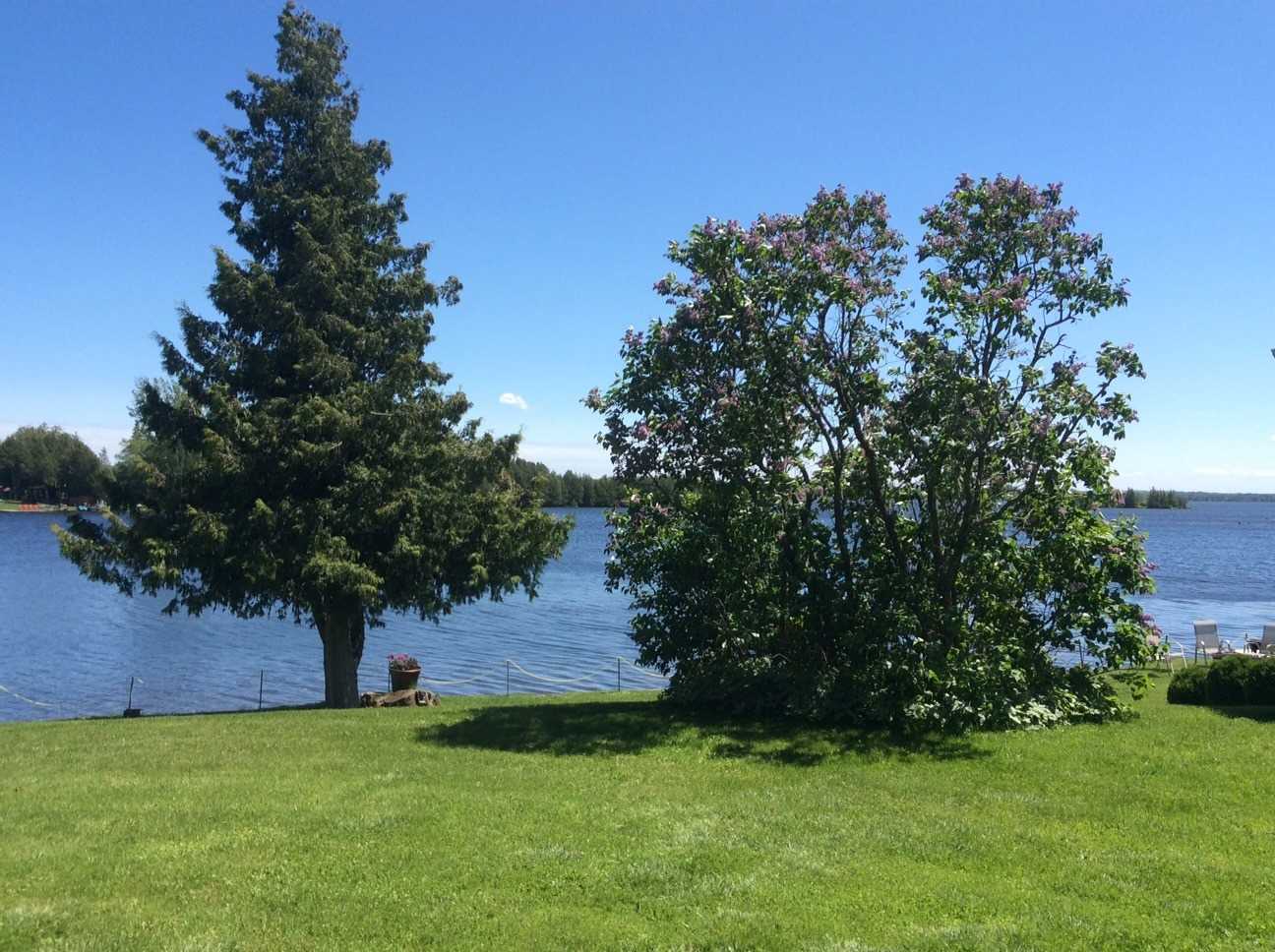Listing X4560948 - Large Photo # 20