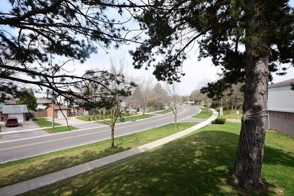 Listing W4116117 - Large Photo # 20