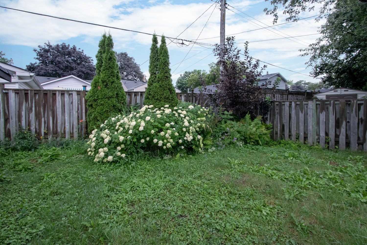 Listing E4512786 - Large Photo # 17