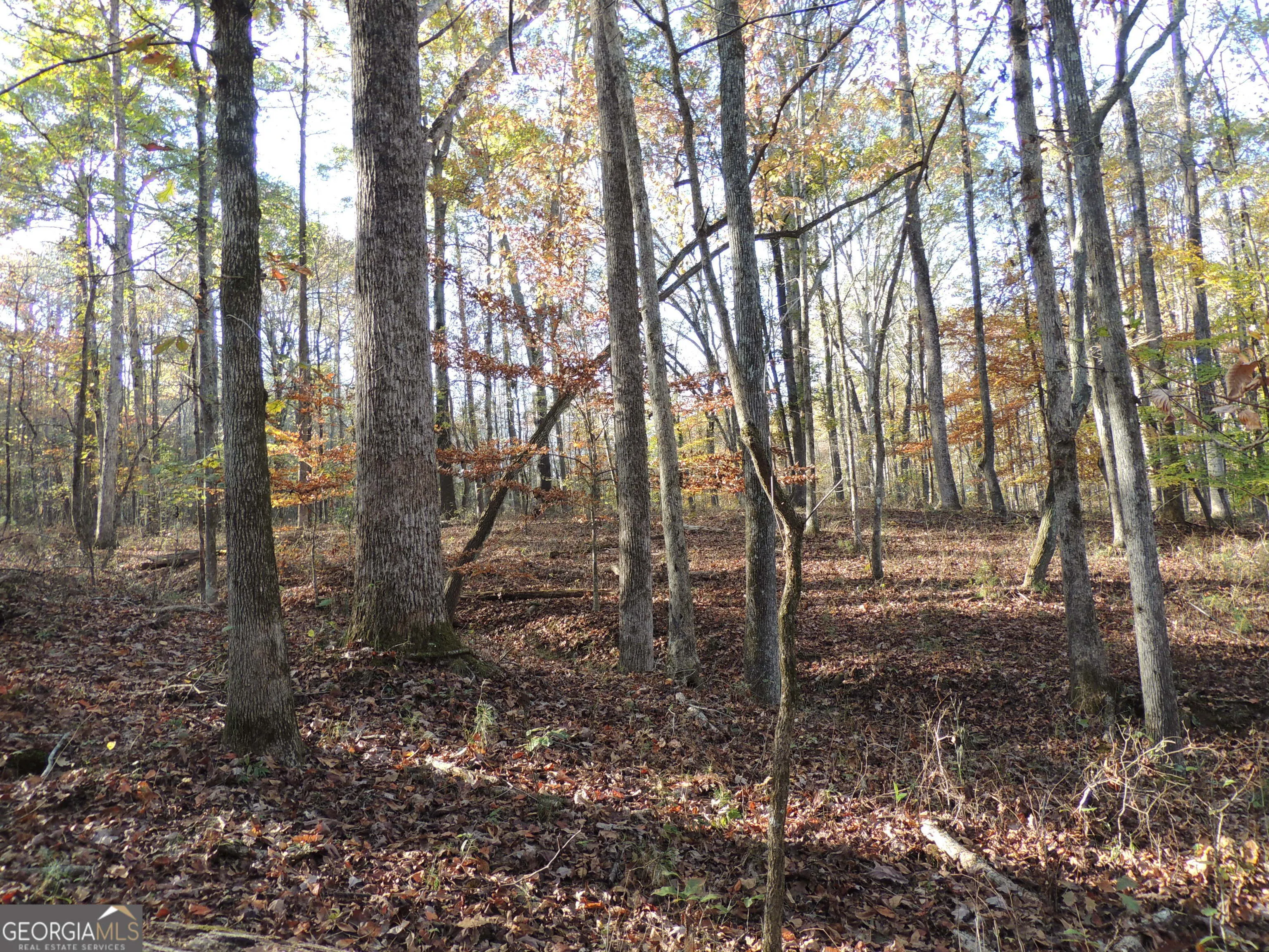 12950 New Providence Road, #0