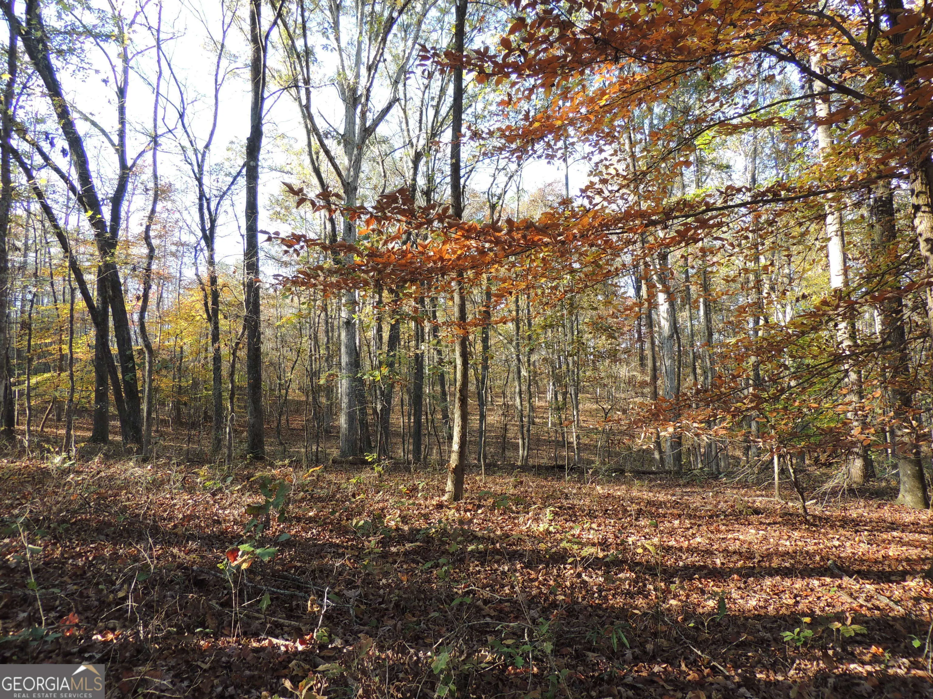 12950 New Providence Road, #0