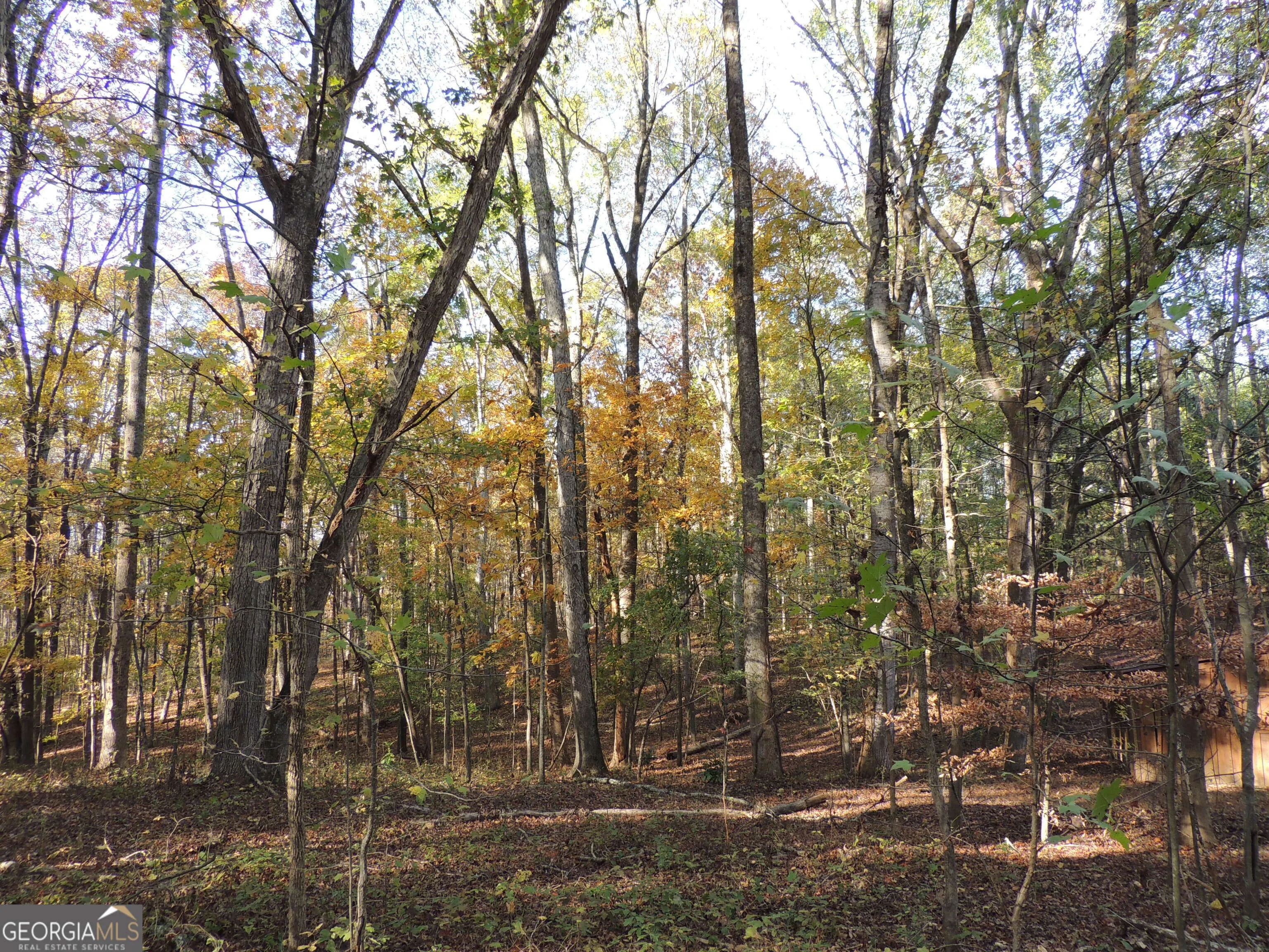 12950 New Providence Road, #0