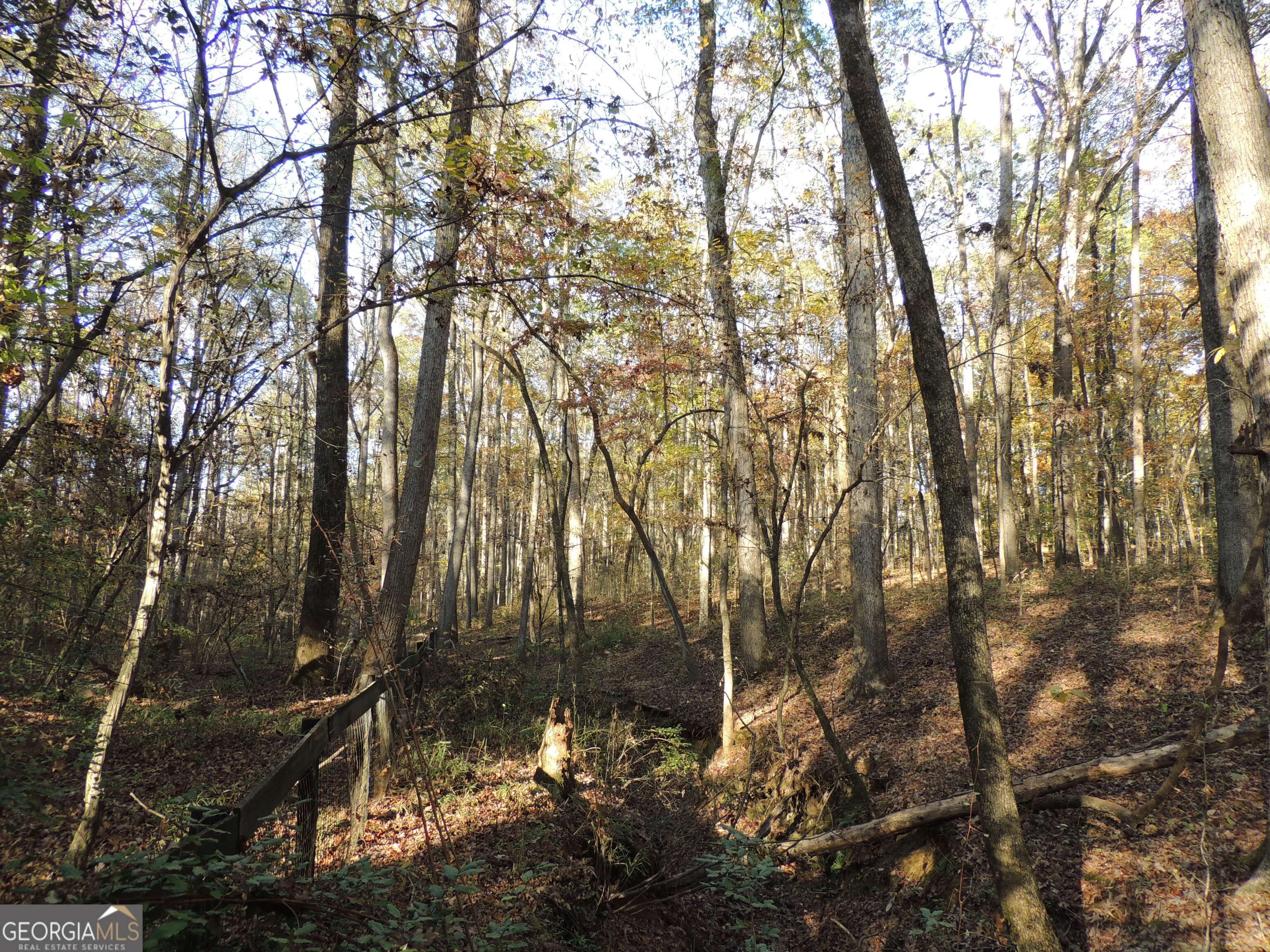 12950 New Providence Road, #0