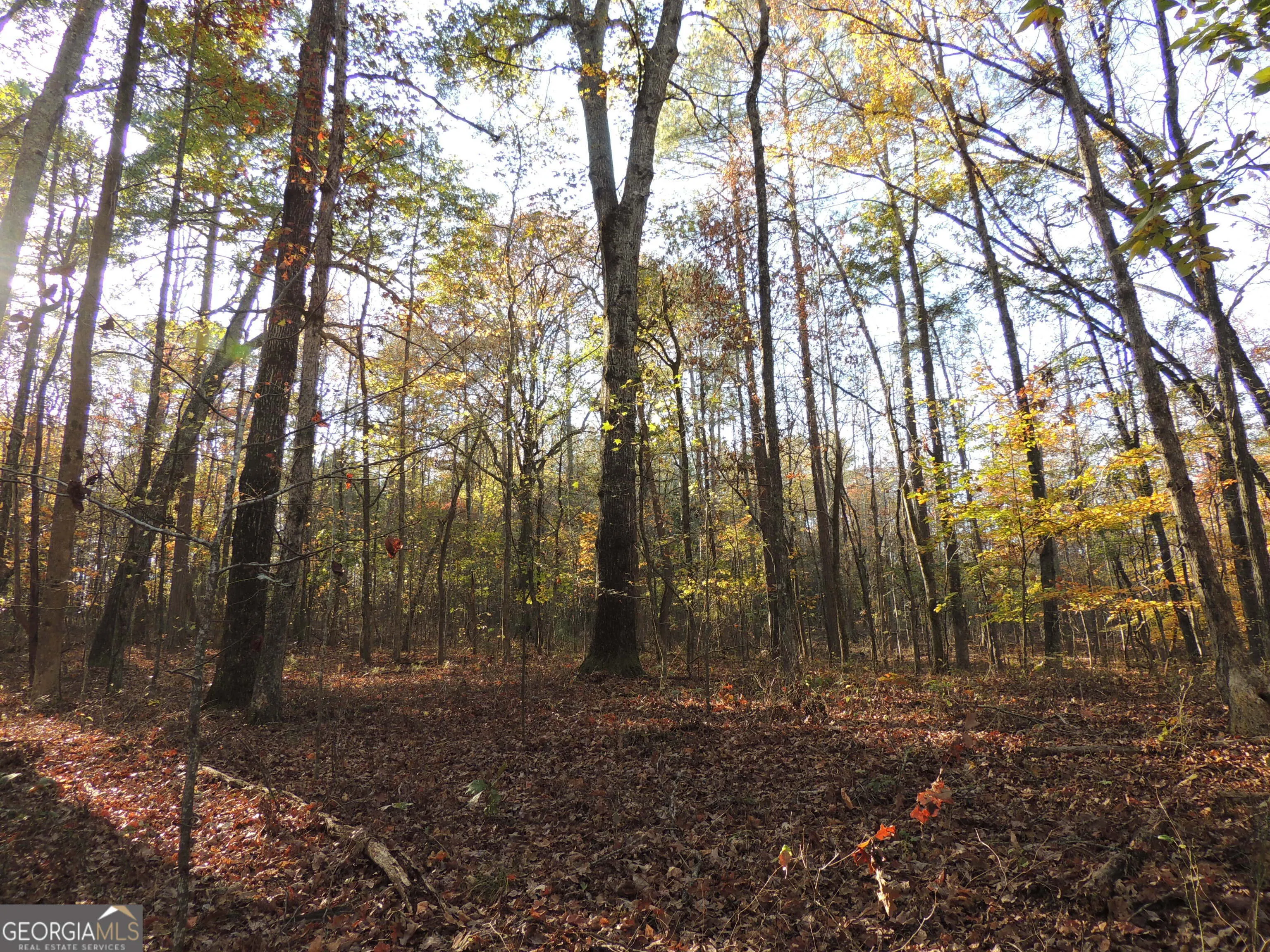 12950 New Providence Road, #0