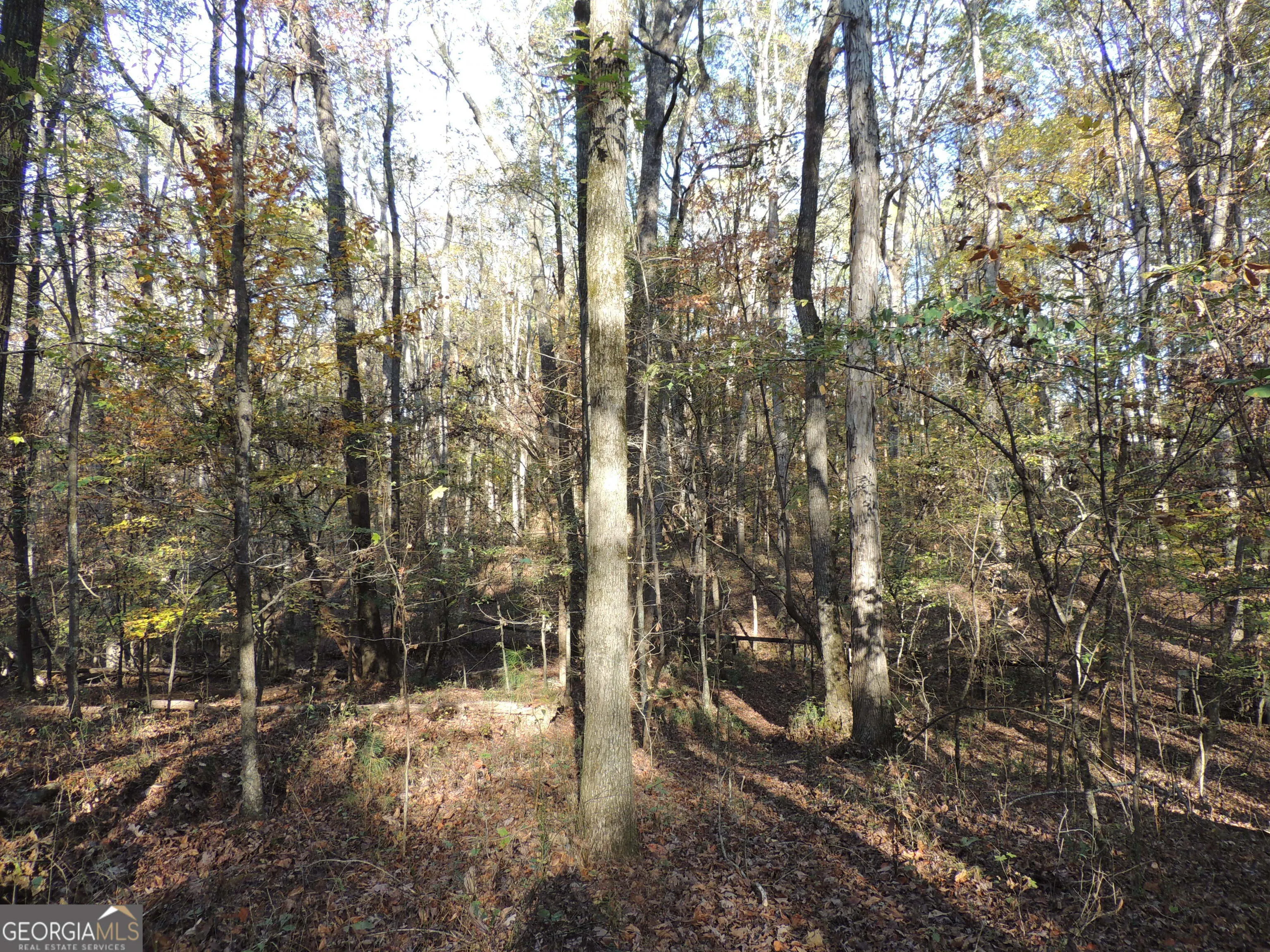 12950 New Providence Road, #0