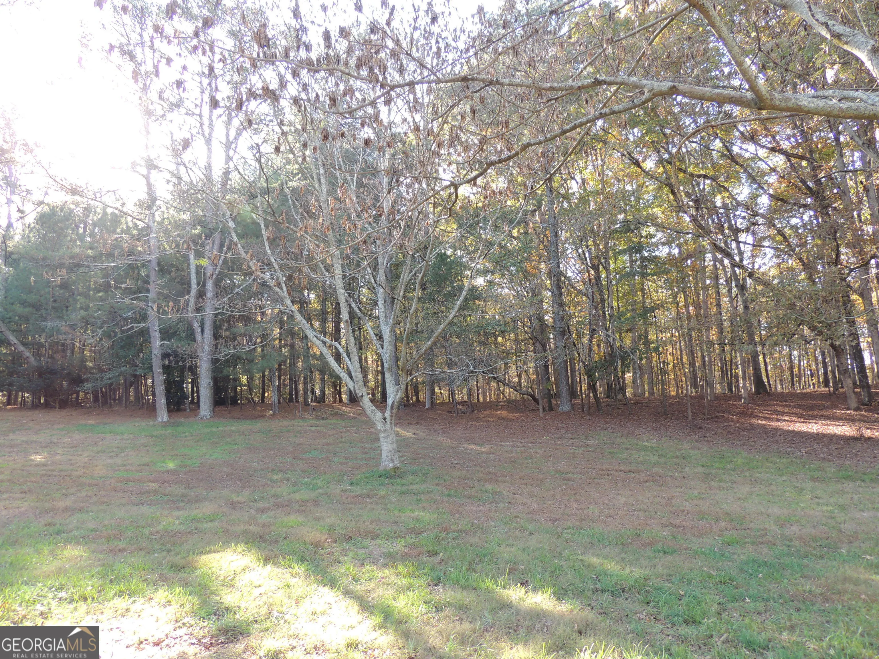 12950 New Providence Road, #0