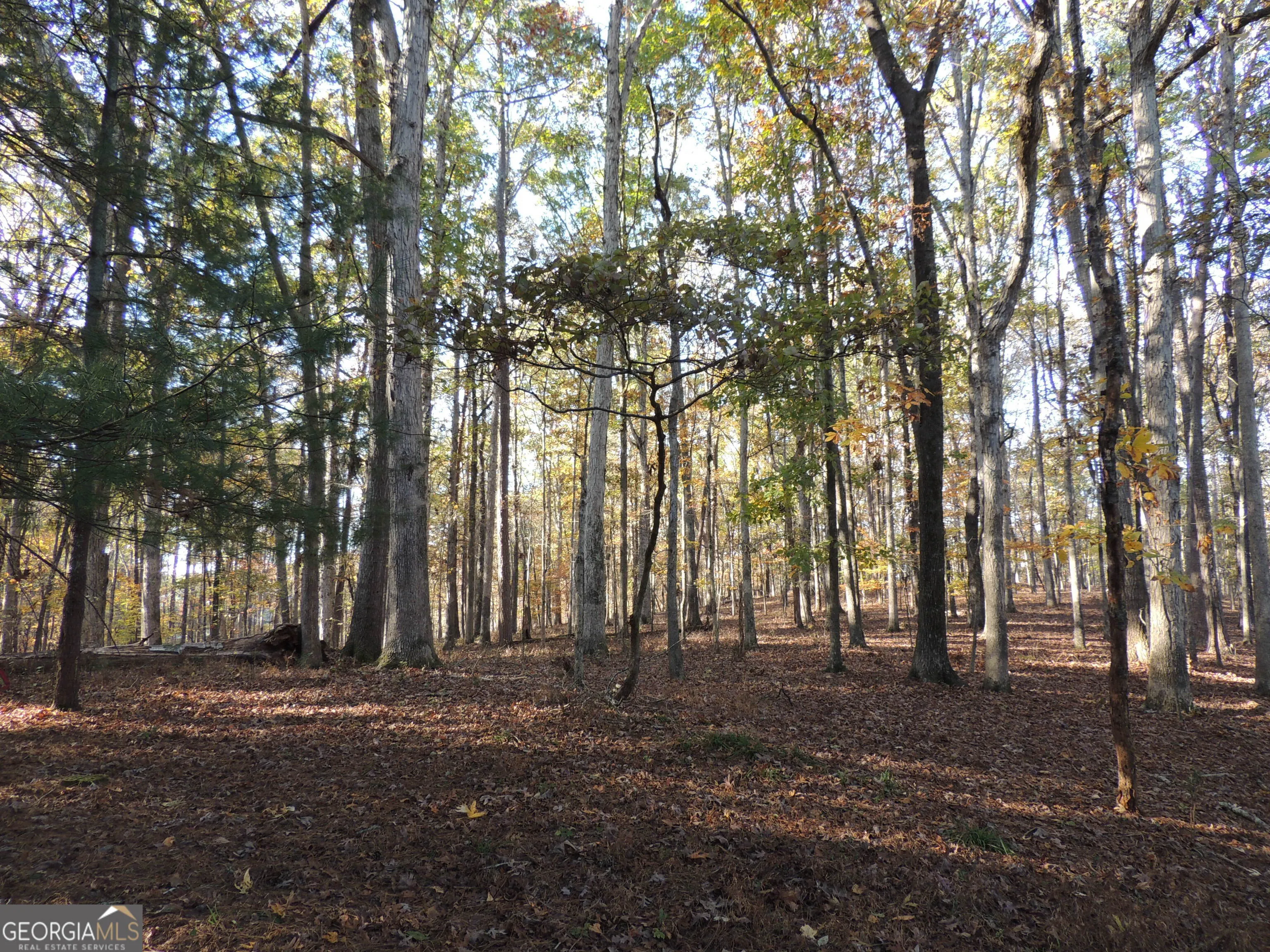 12950 New Providence Road, #0