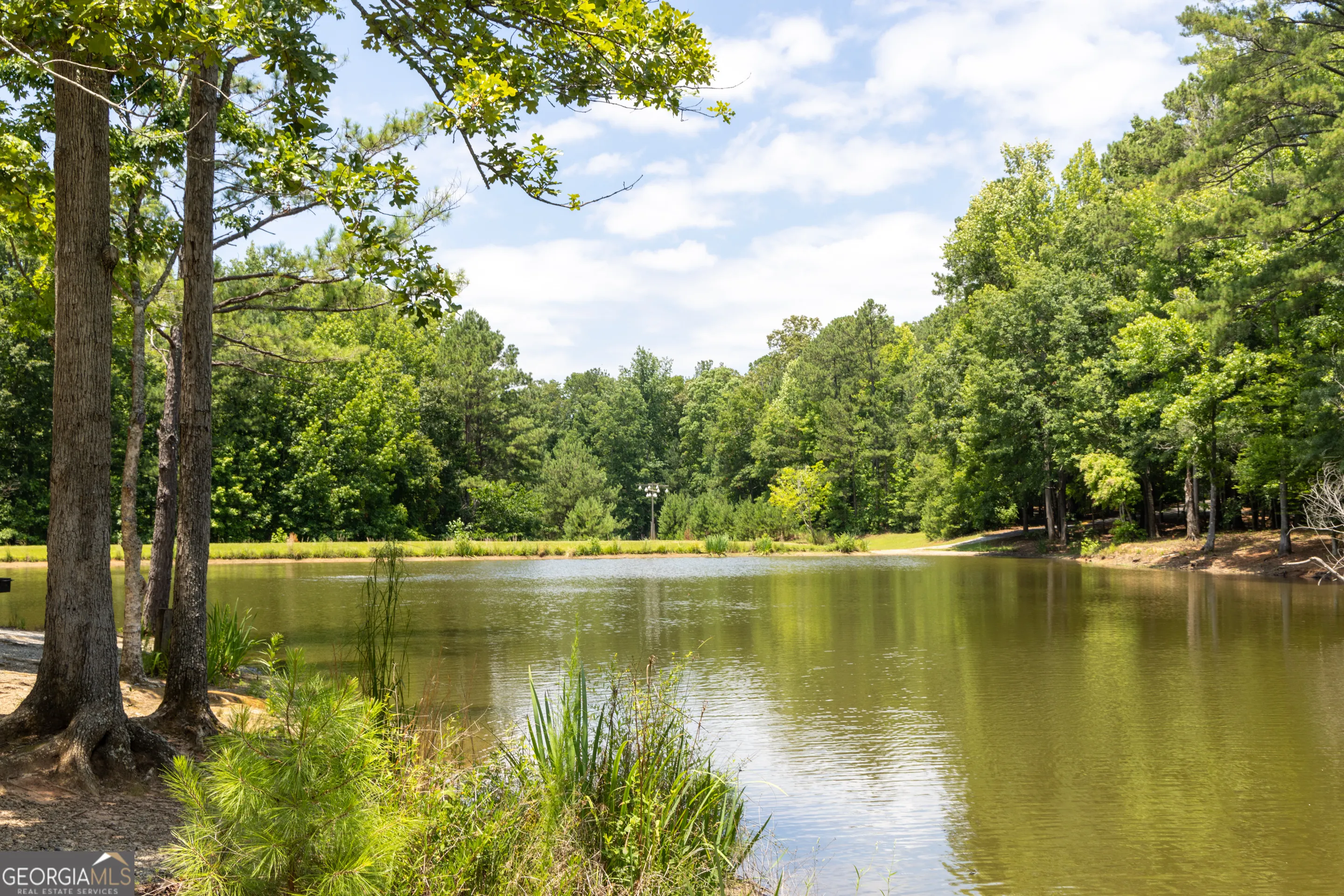505 Altamaha Court