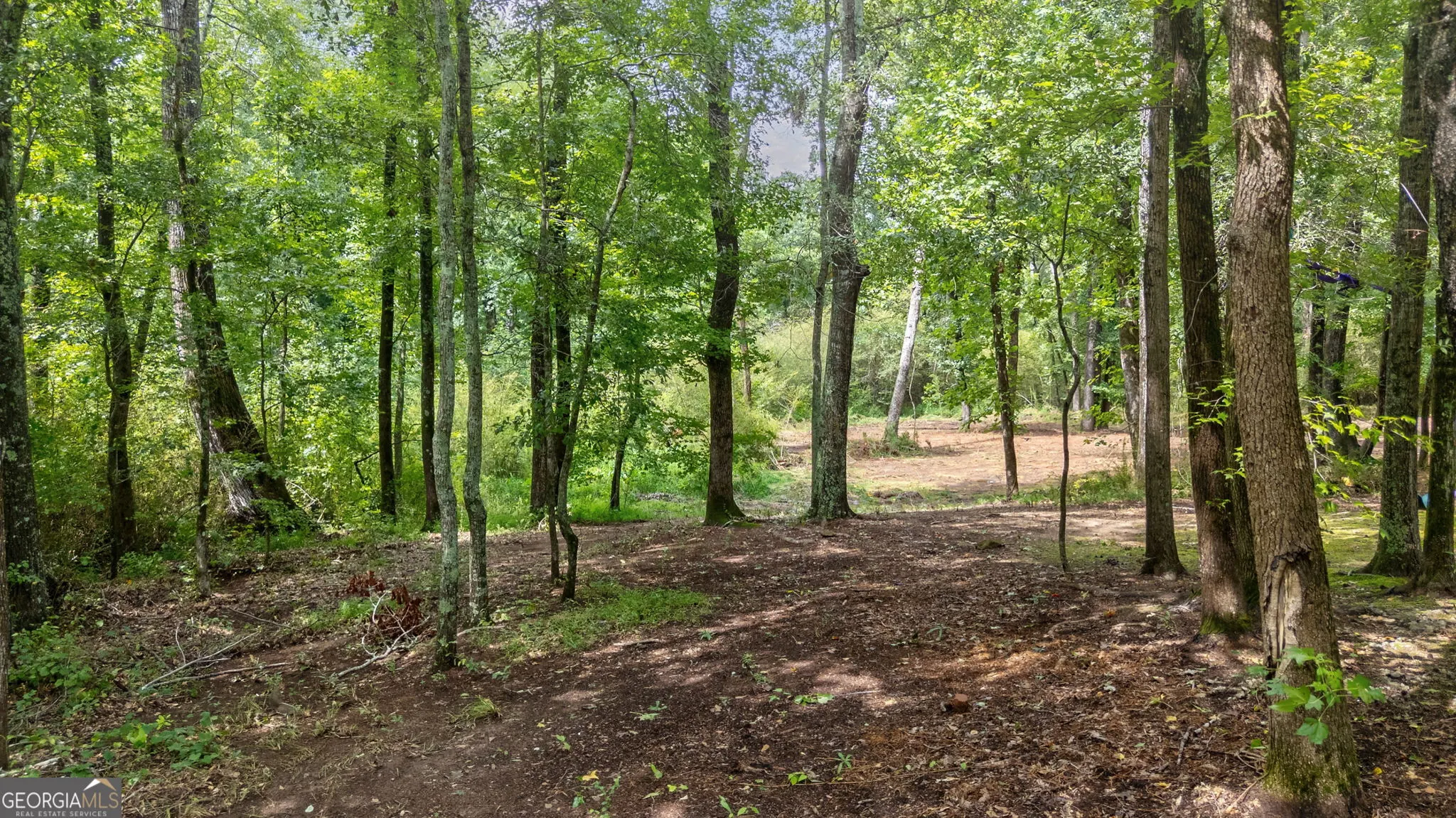 5542 Brookhaven Drive