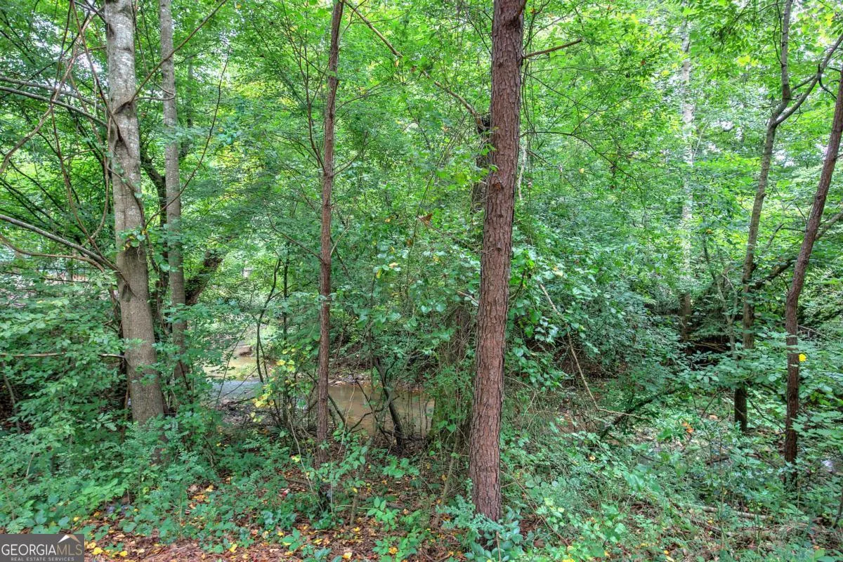 346 Thorn Creek Way