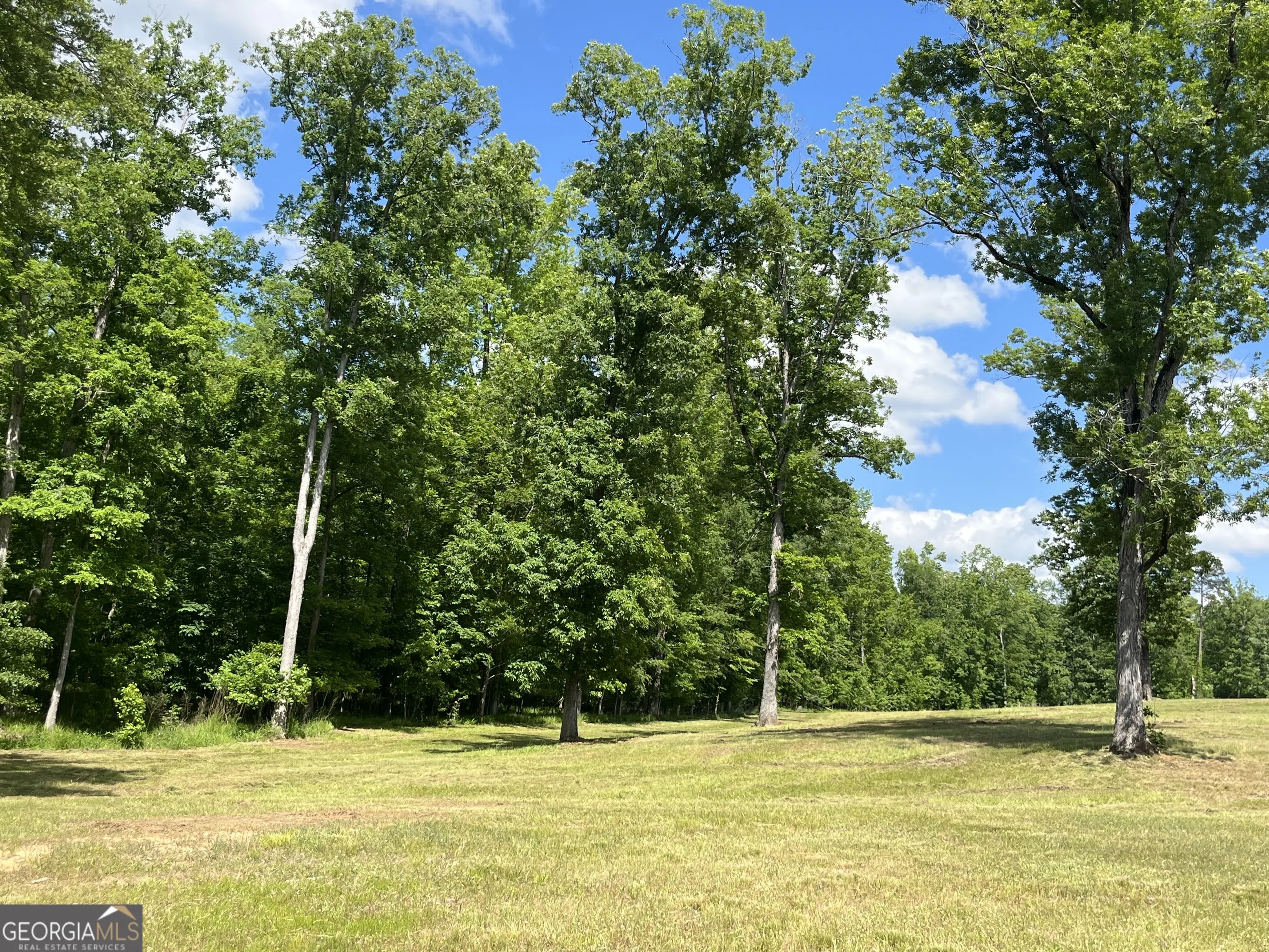 1963 Reids Ferry Road