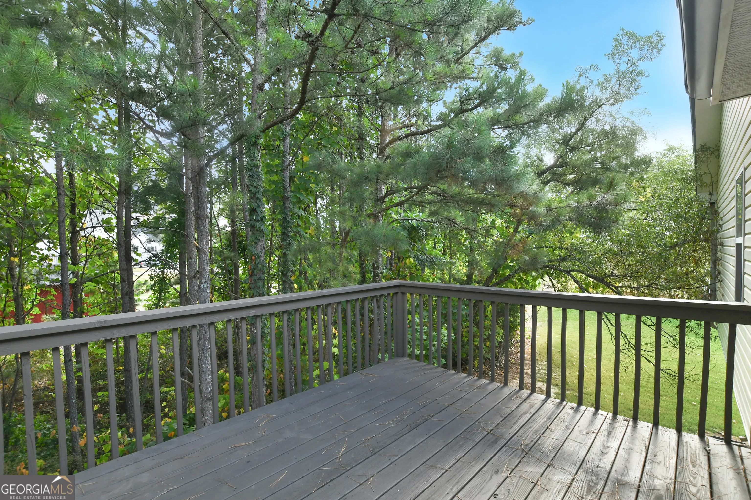 851 Walkingstick Drive
