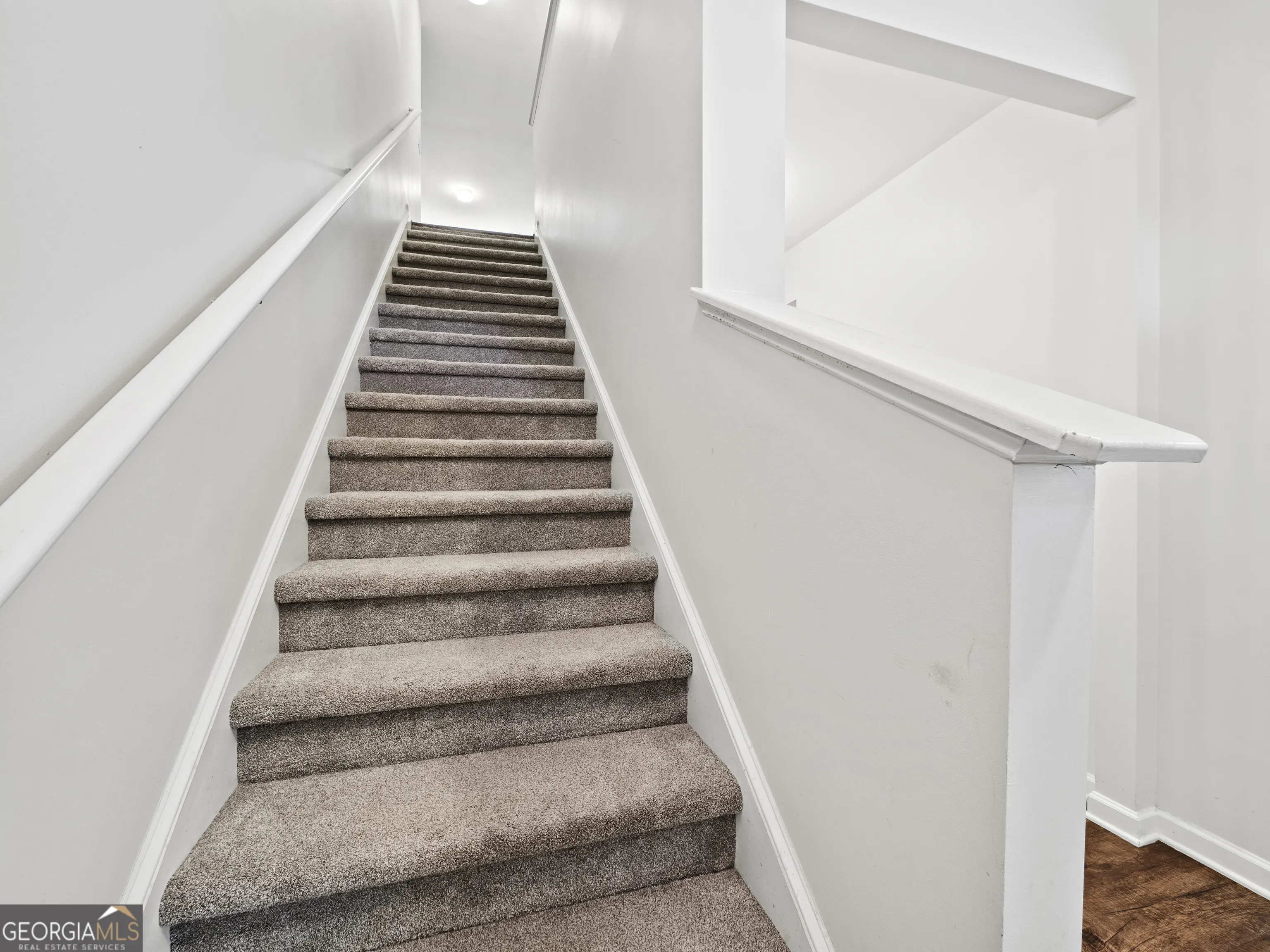 3116 Lilac Creek Trail