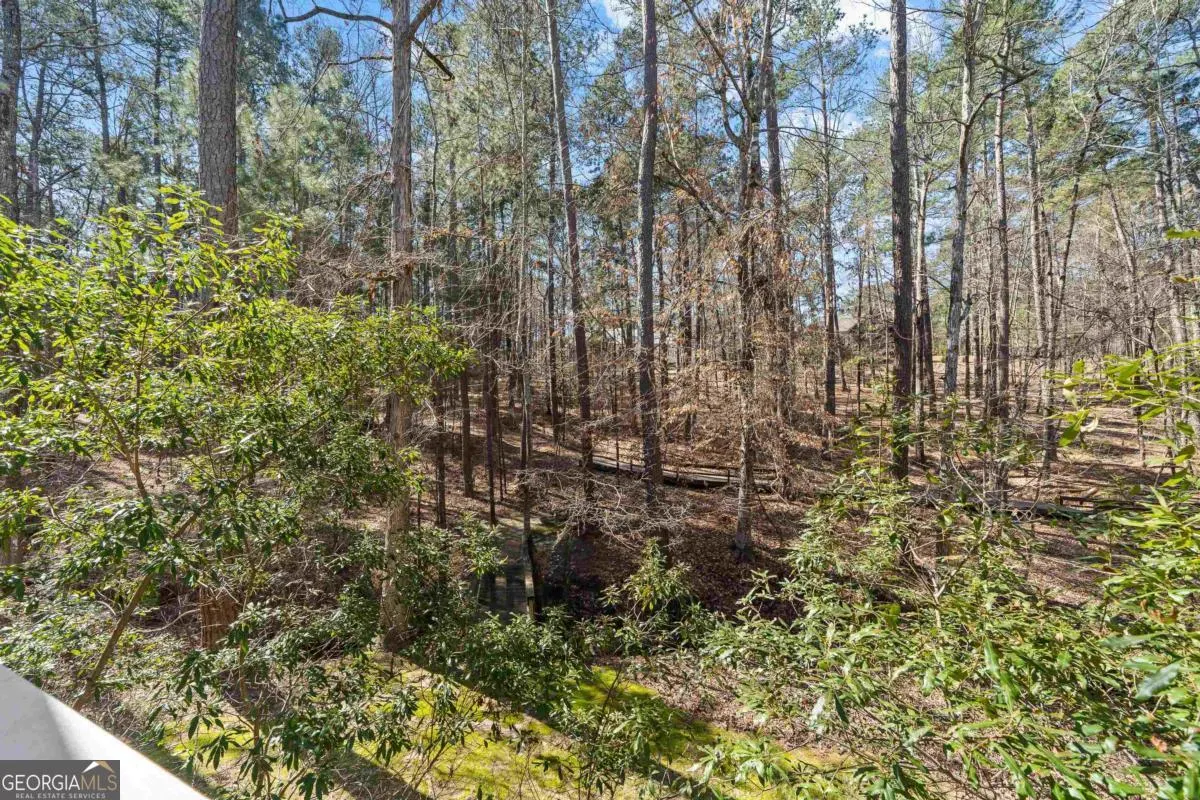 1020 Troublesome Creek Lane