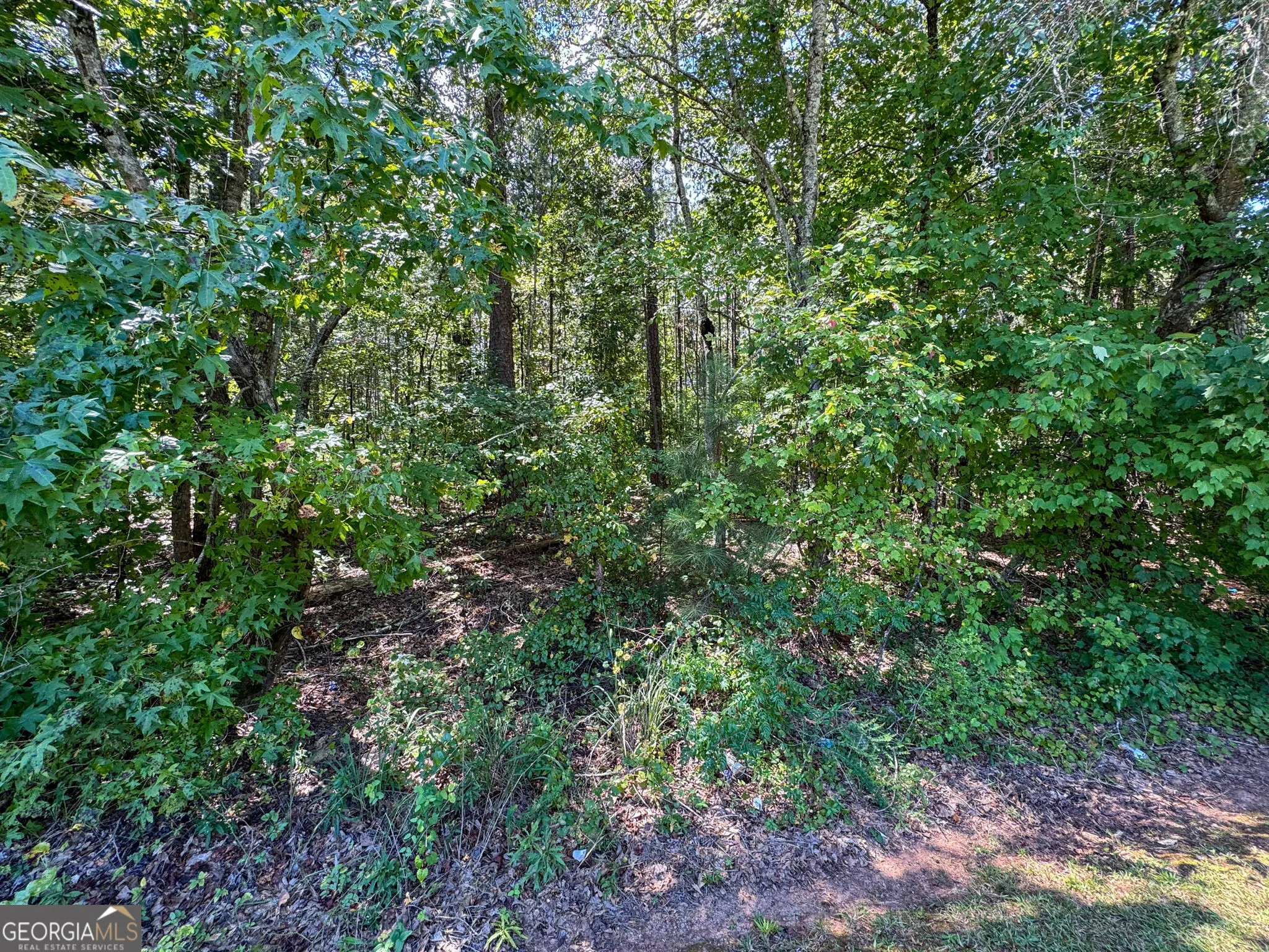 0 Chappell Mill Rd (TRACT 1)