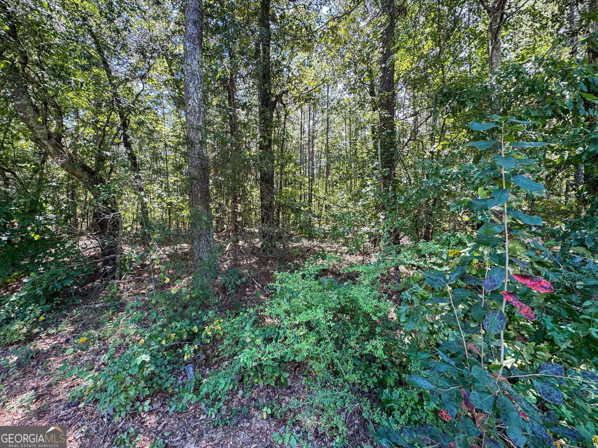 0 Chappell Mill Rd (TRACT 1)
