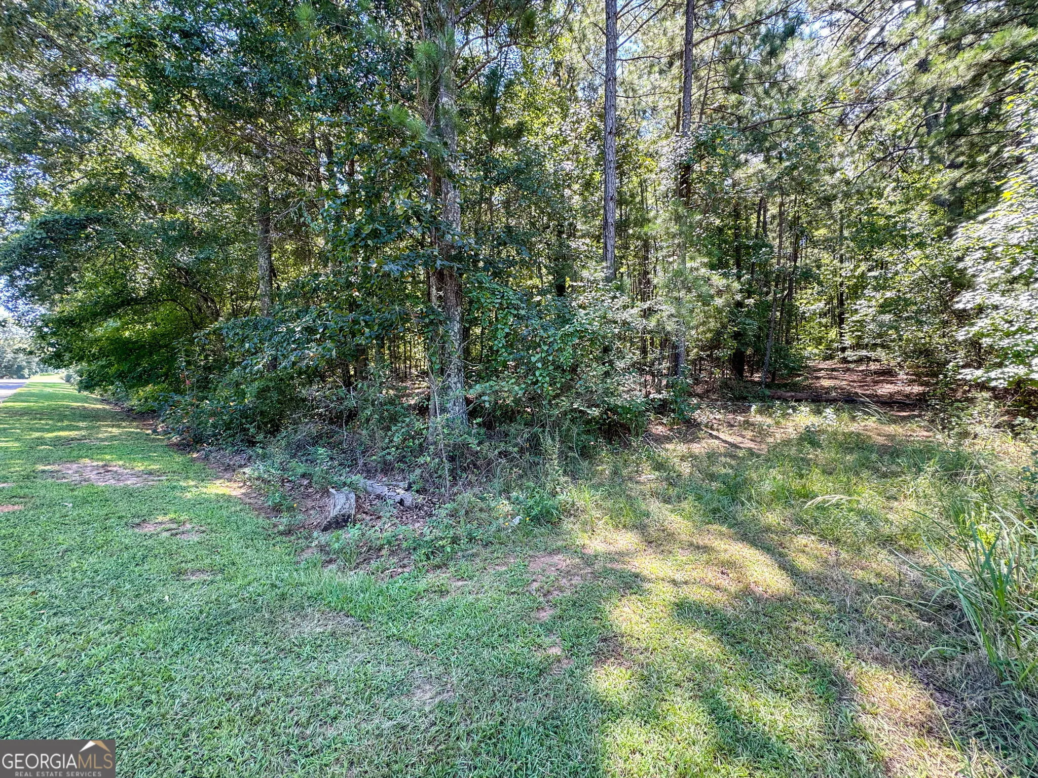 0 Chappell Mill Rd (TRACT 1)