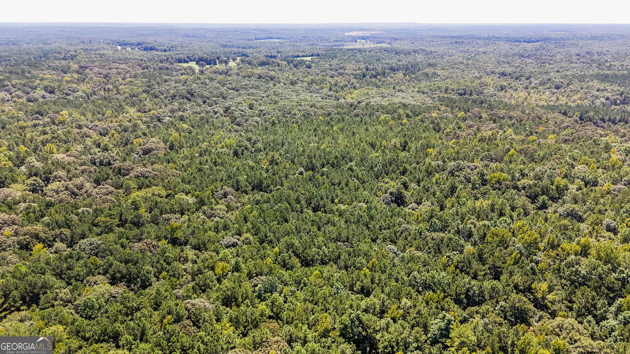 0 Chappell Mill Rd (TRACT 1)