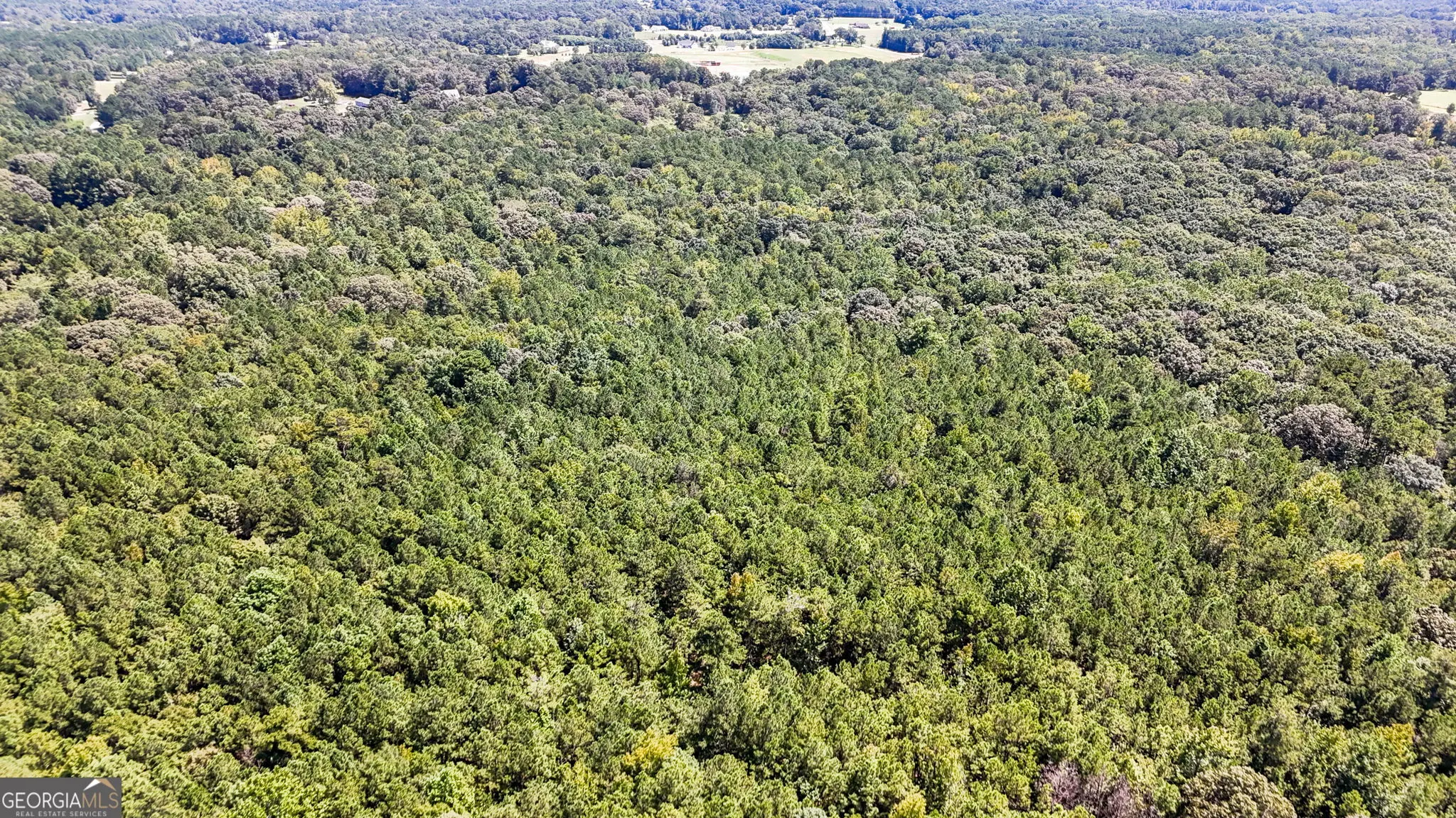 0 Chappell Mill Rd (TRACT 1)