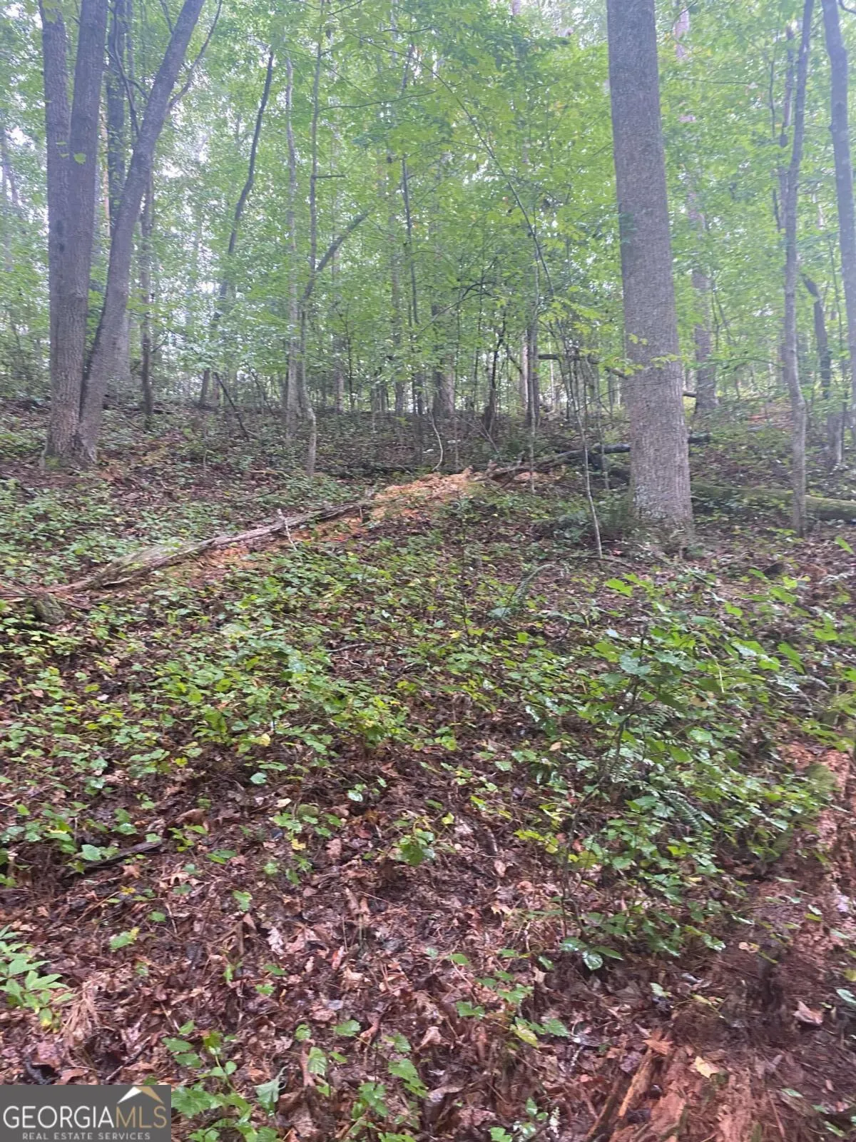 27 Mountain Creek Hollow Drive