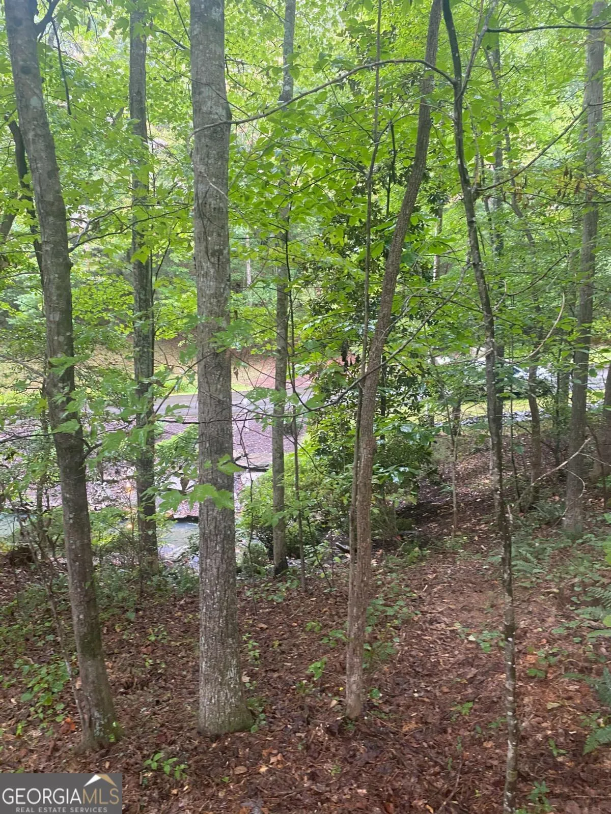 27 Mountain Creek Hollow Drive