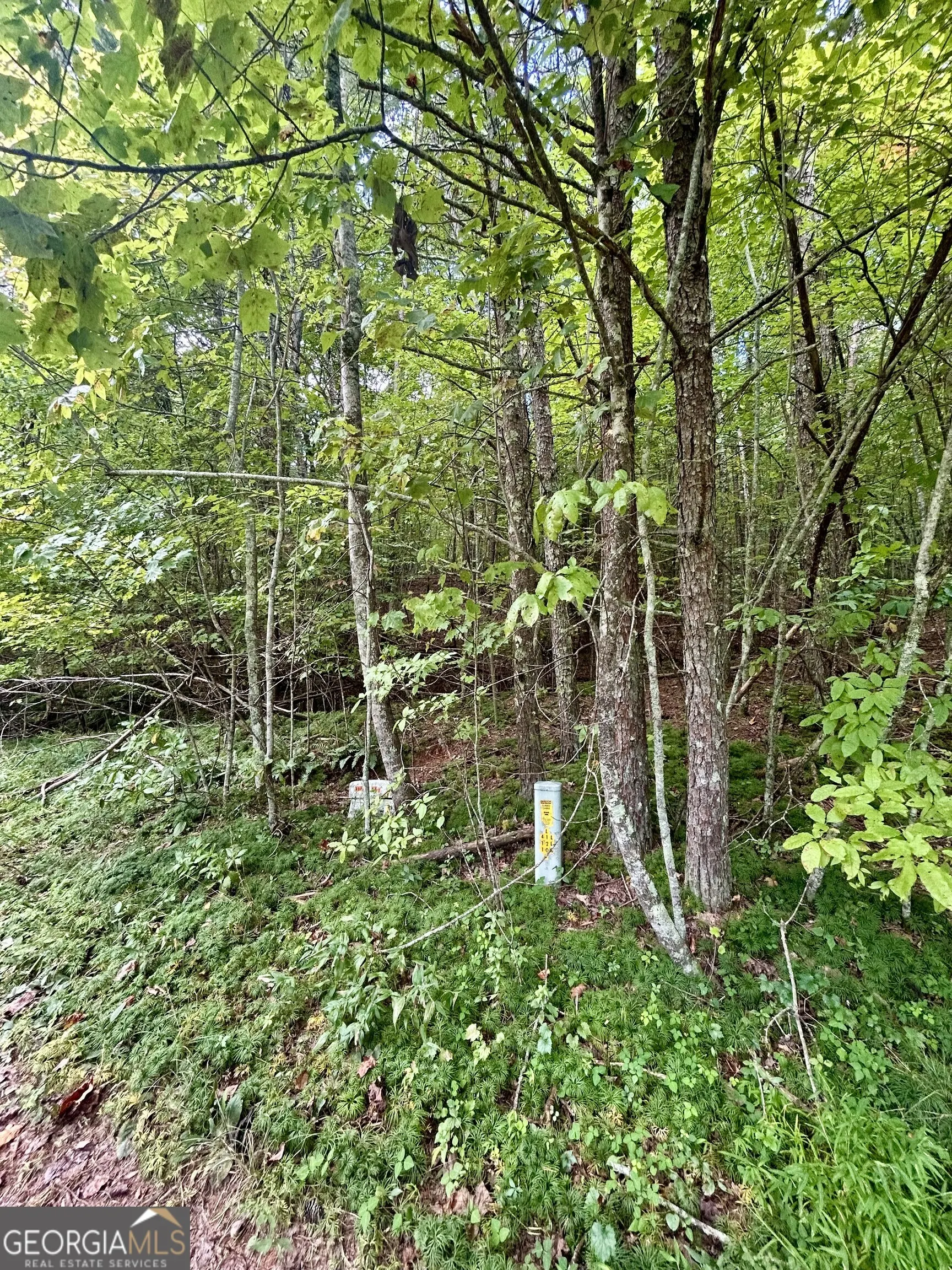 0 Yonah View Drive