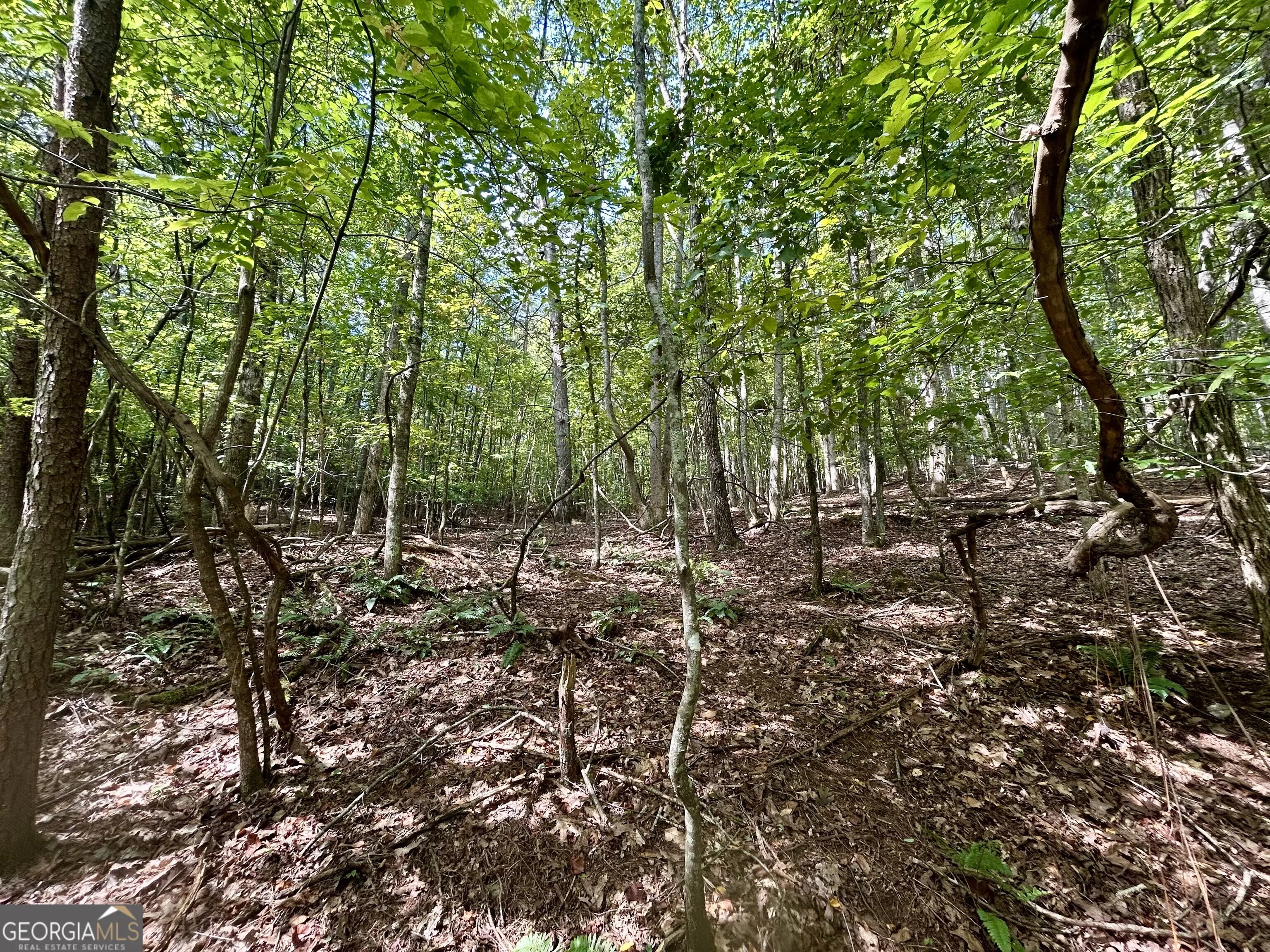 0 Yonah View Drive