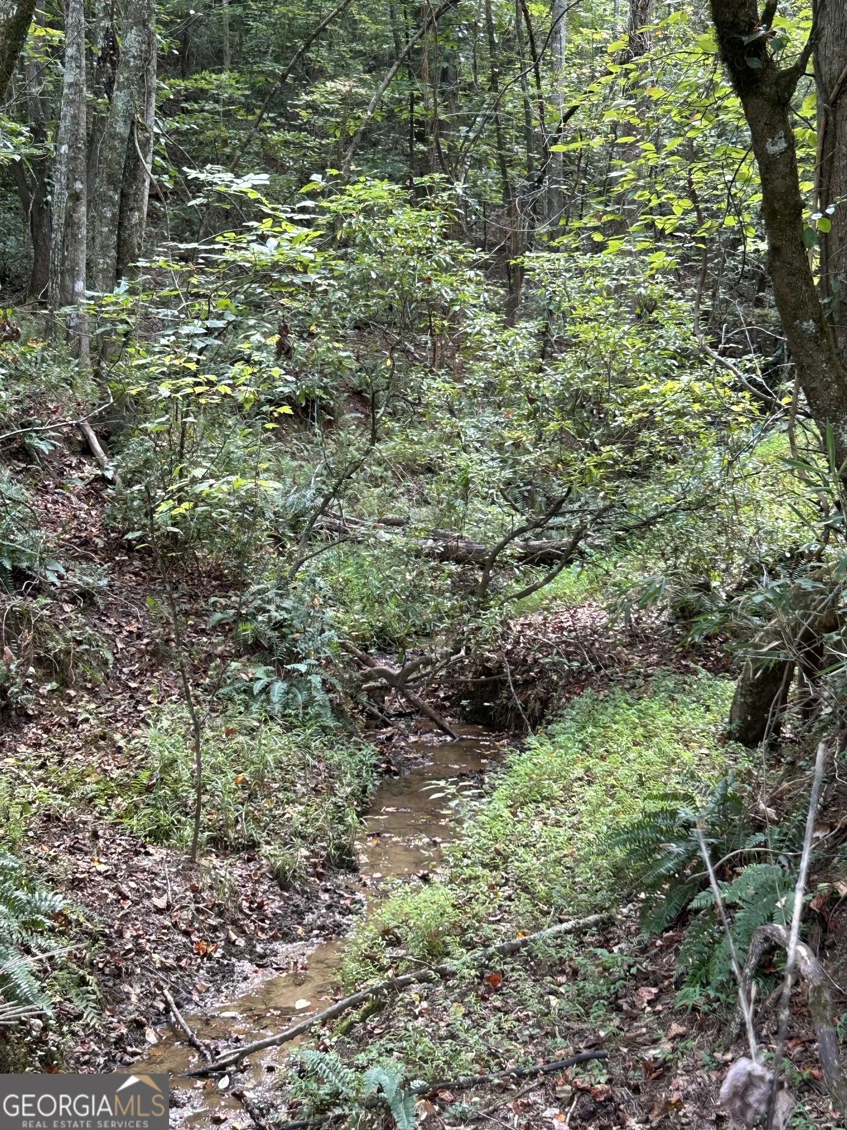 0 Yonah View Drive