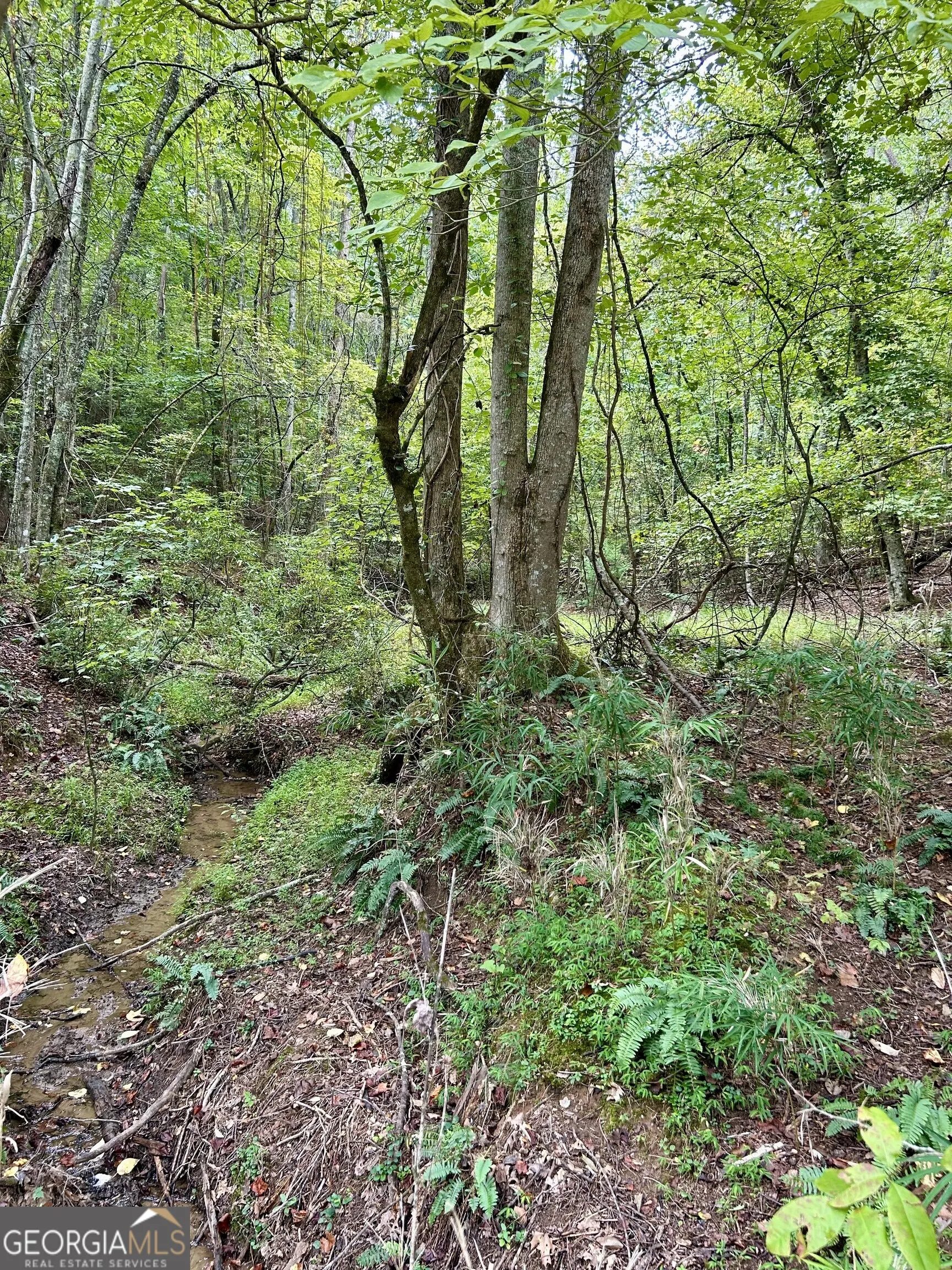 0 Yonah View Drive