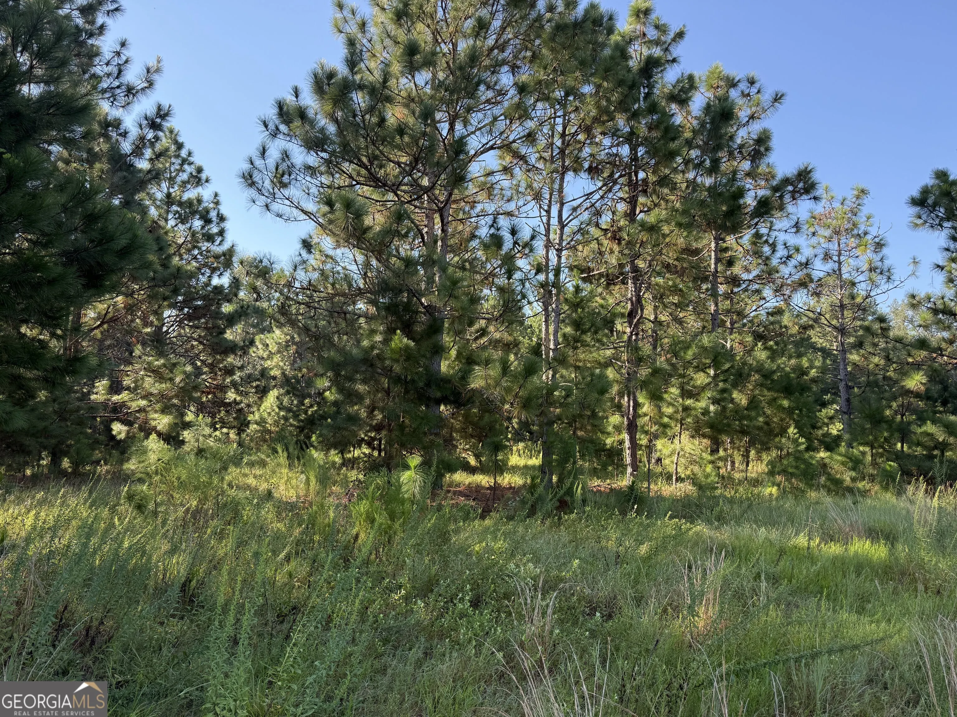 TRACT 4 0 Sunbury Road, #TRACT 4