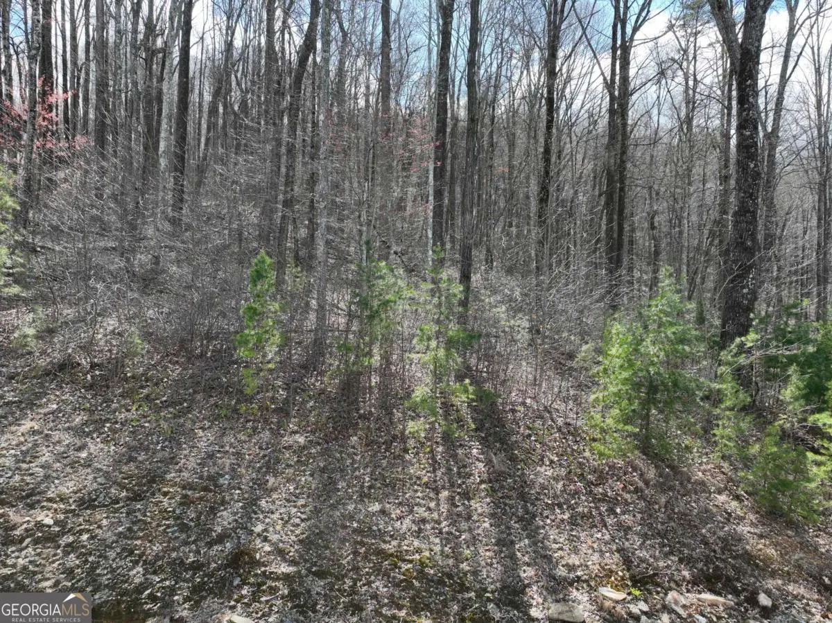 270R Stone Cliff Drive