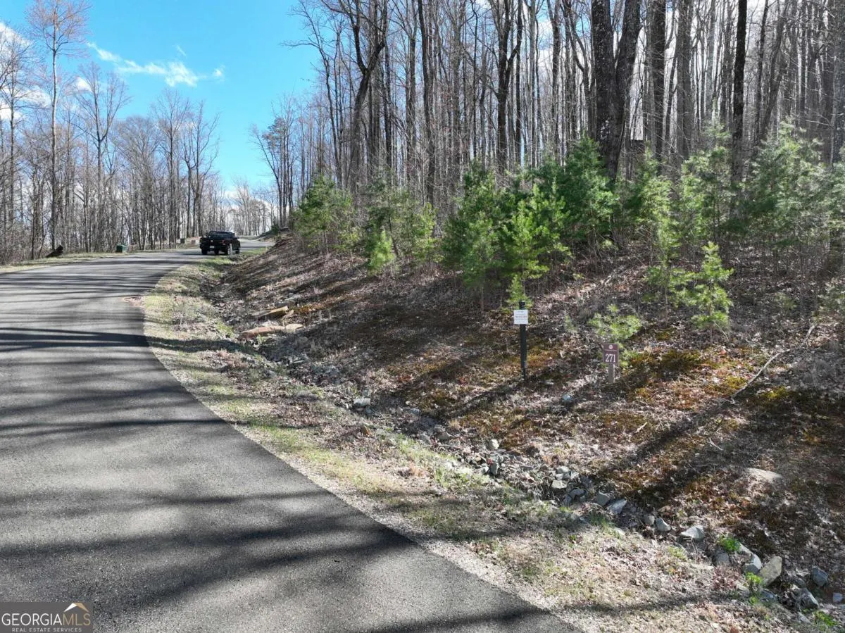 270R Stone Cliff Drive